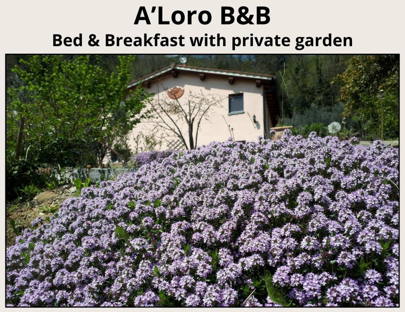 A'Loro B&B แตร์รานูโอวา บราชโชลีนี ภายนอก รูปภาพ
