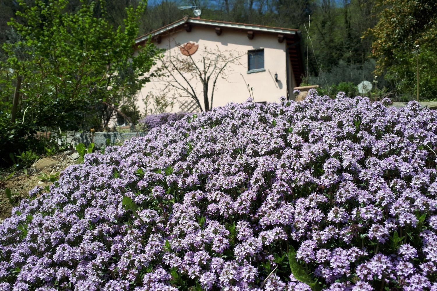 A'Loro B&B แตร์รานูโอวา บราชโชลีนี ภายนอก รูปภาพ