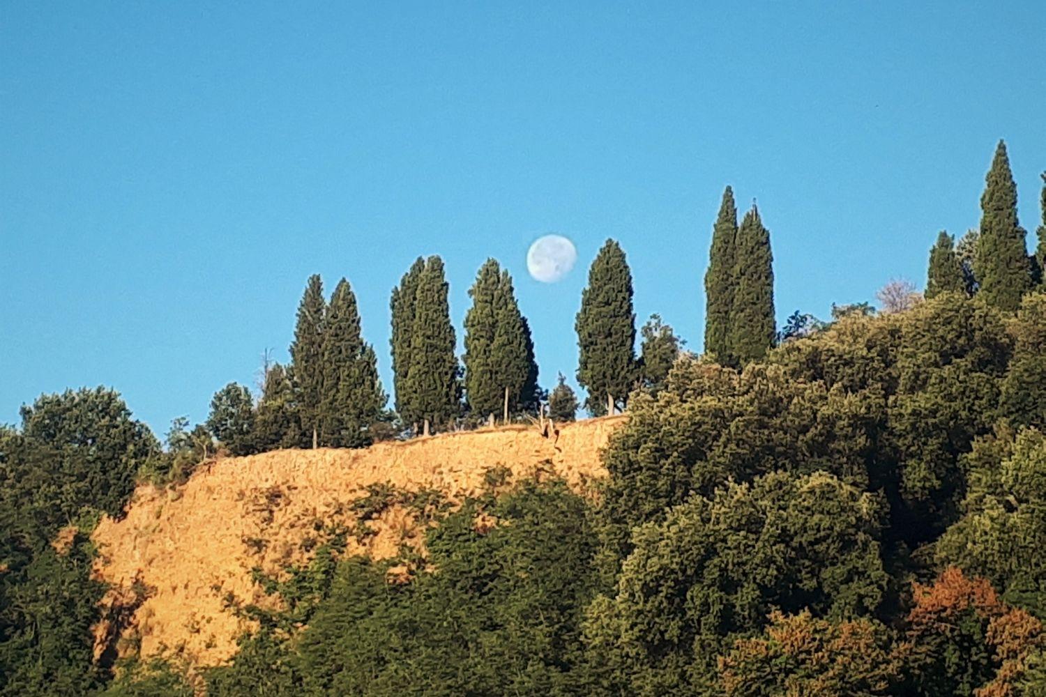 A'Loro B&B แตร์รานูโอวา บราชโชลีนี ภายนอก รูปภาพ