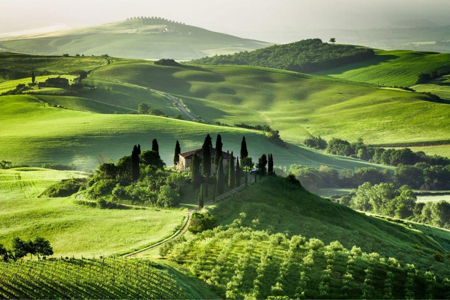 A'Loro B&B แตร์รานูโอวา บราชโชลีนี ภายนอก รูปภาพ