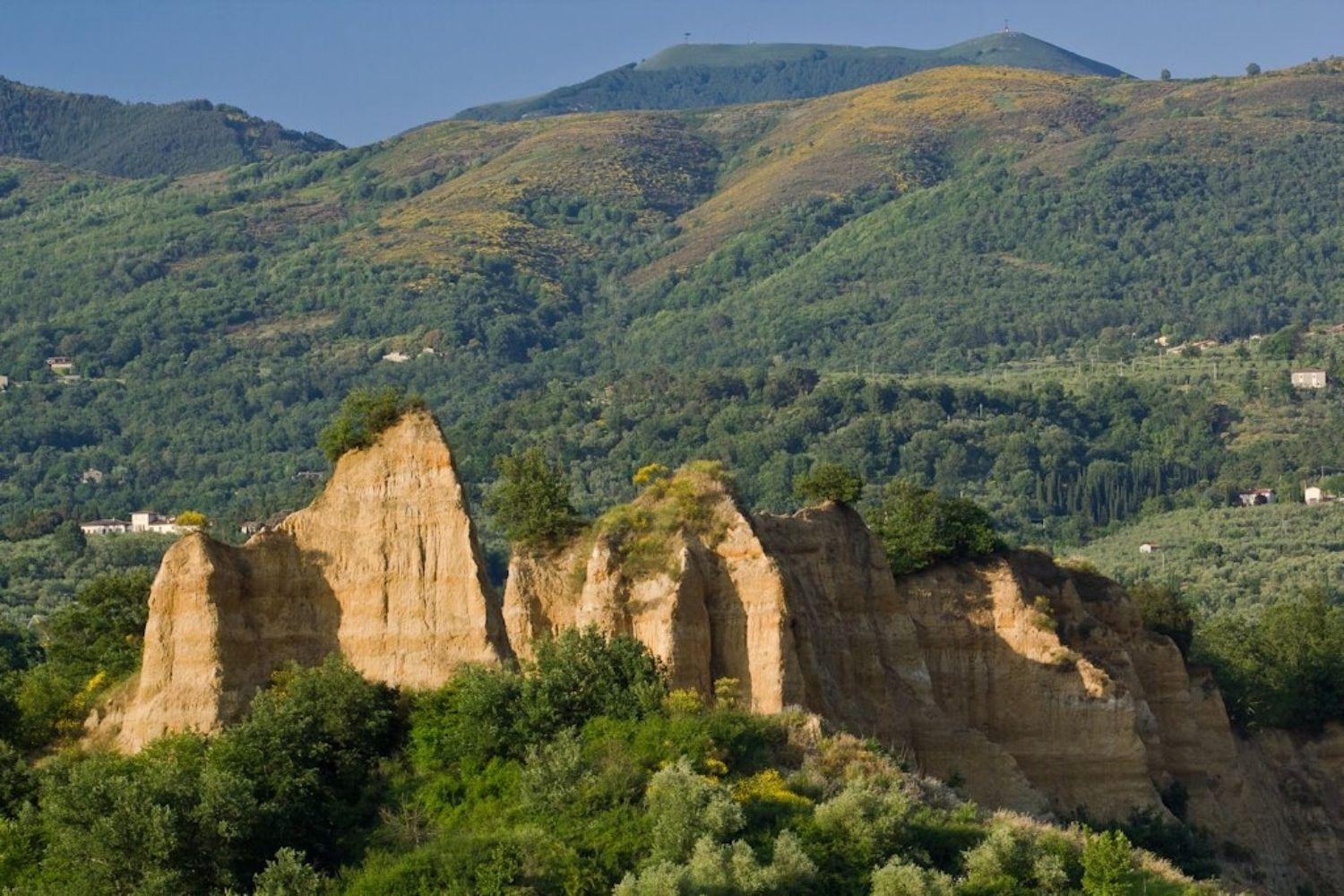 A'Loro B&B แตร์รานูโอวา บราชโชลีนี ภายนอก รูปภาพ