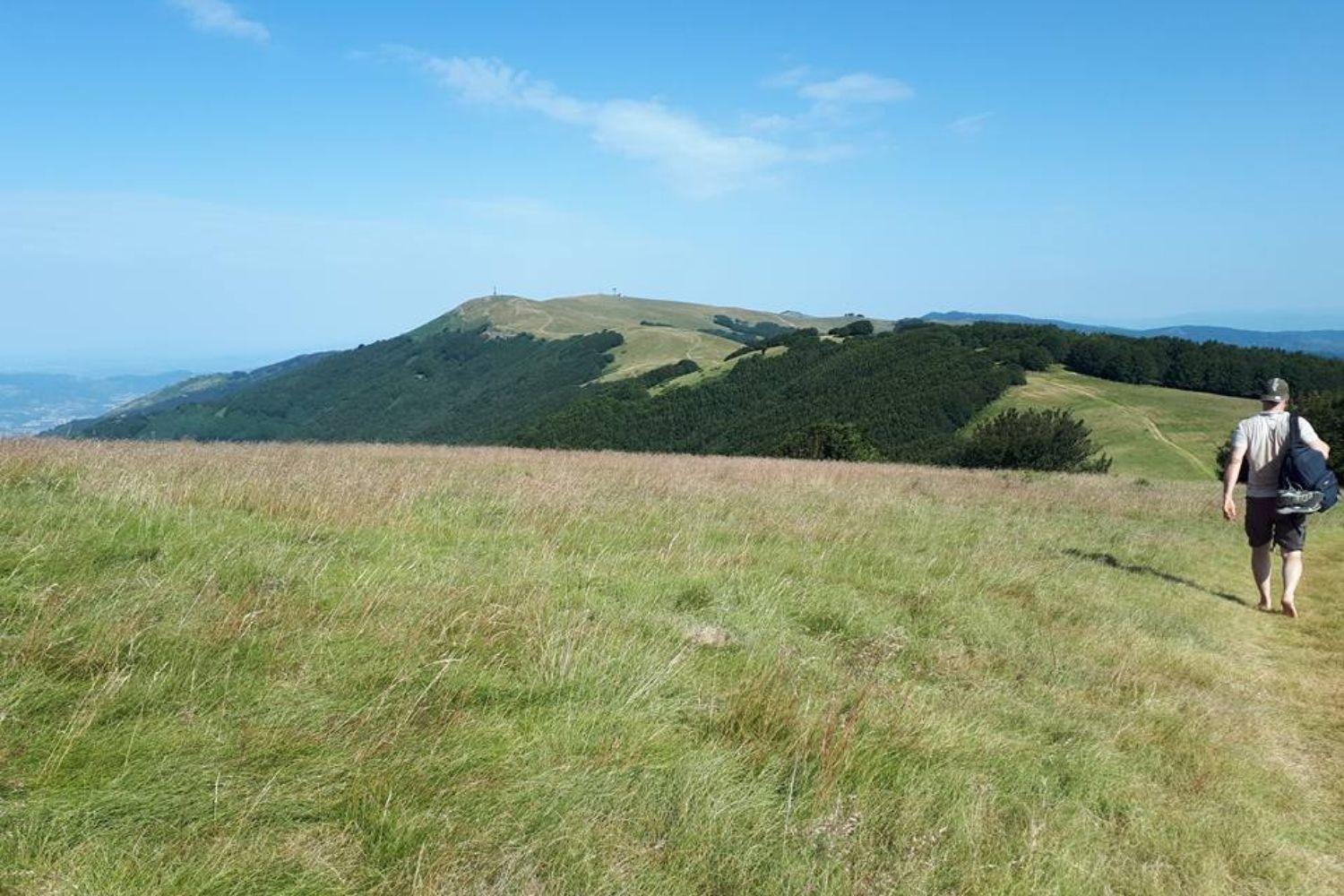 A'Loro B&B แตร์รานูโอวา บราชโชลีนี ภายนอก รูปภาพ