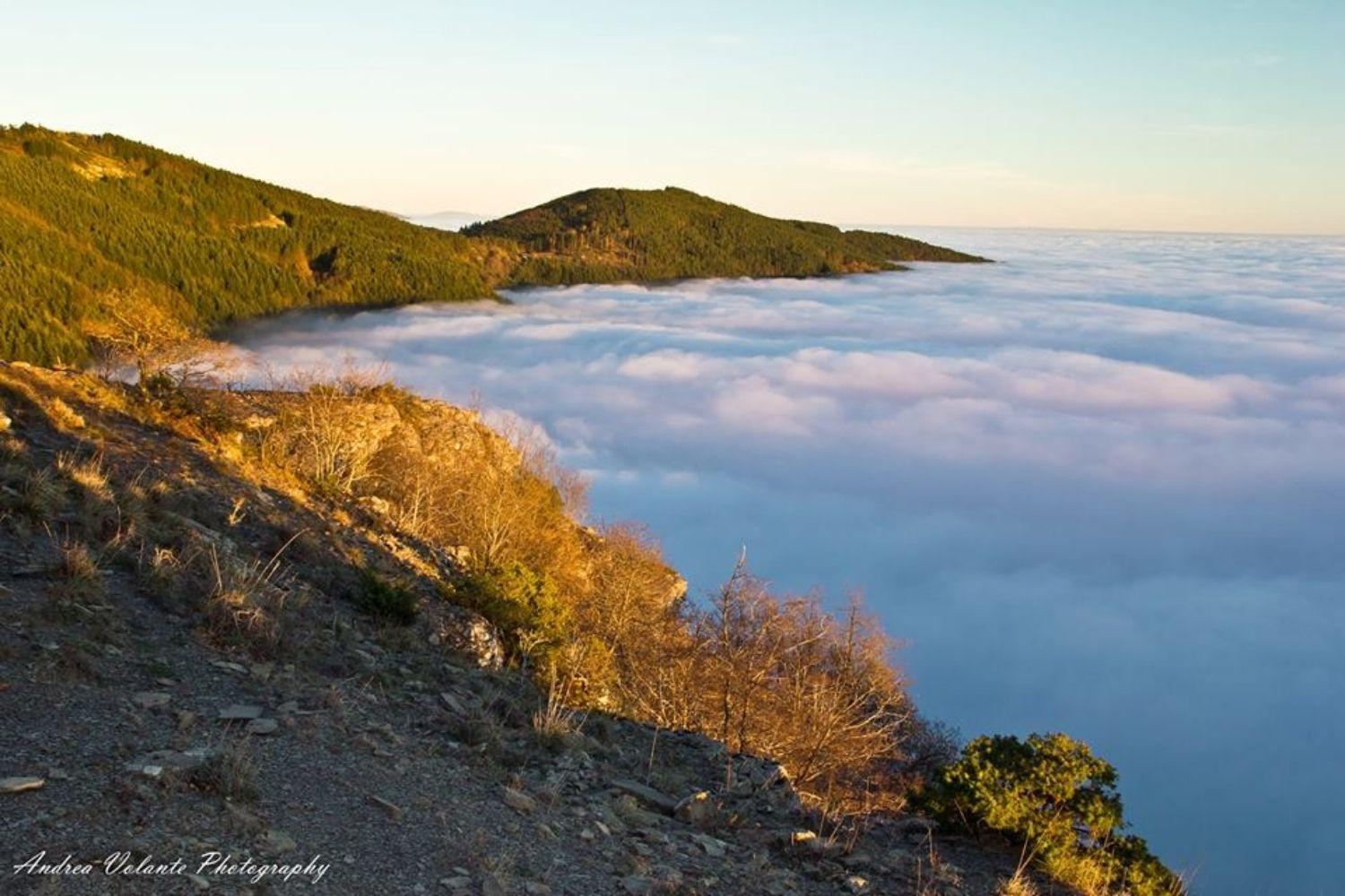 A'Loro B&B แตร์รานูโอวา บราชโชลีนี ภายนอก รูปภาพ